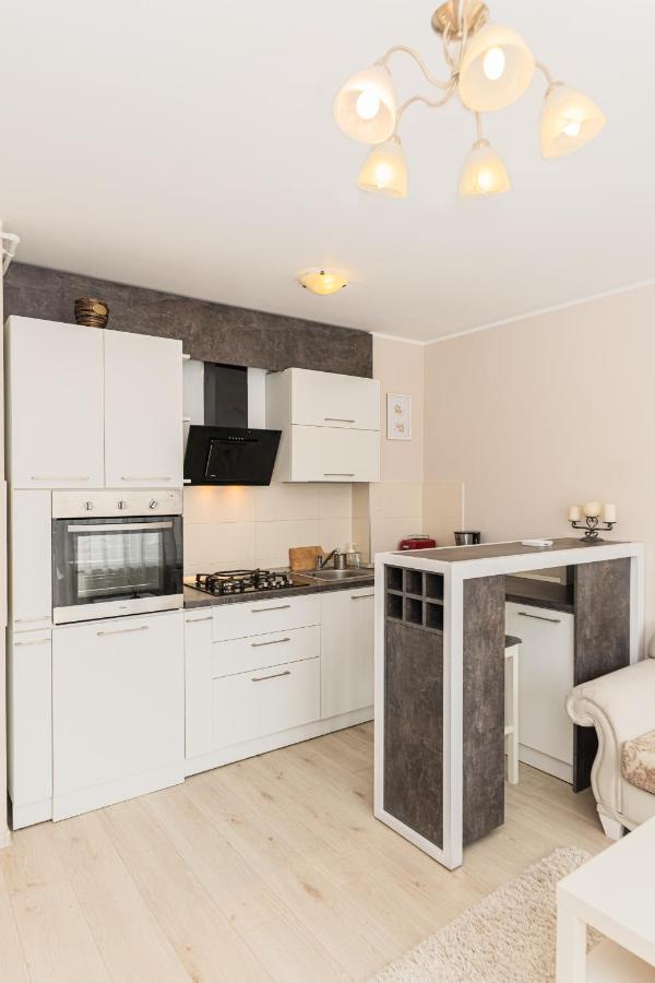 Apartament Belles Roses Brasov Apartman Kültér fotó